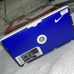 nike air vapormax evo ngr